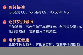 梁园为什么选择专业追讨公司来处理您的债务纠纷？